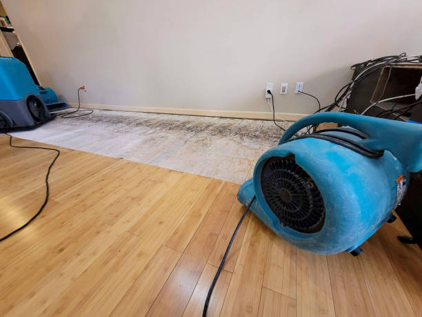 Professional Structural Drying technician working in Columbia, MD